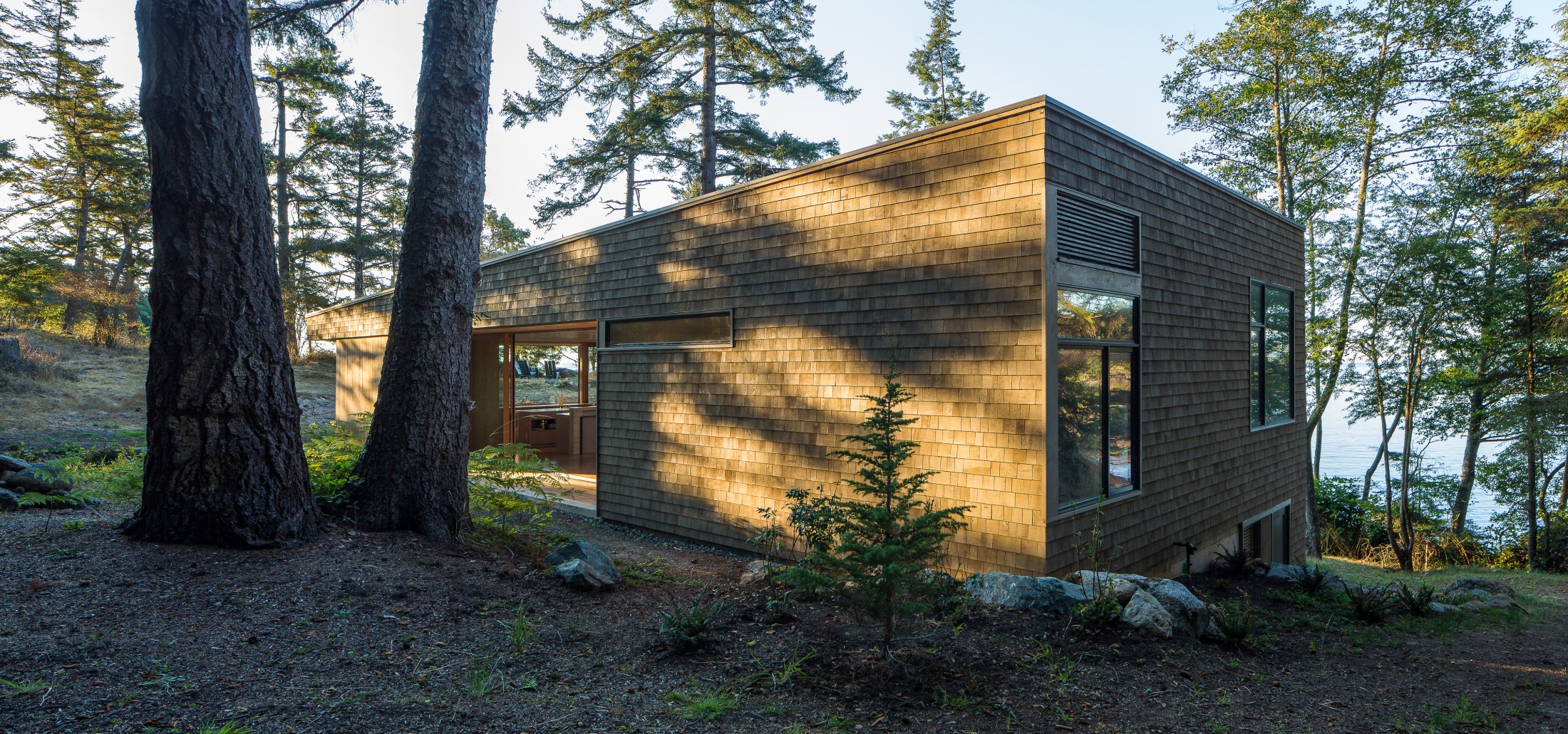 Lone Madrone exterior